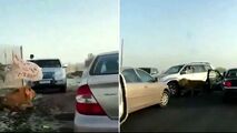 وحشت رانندگان از پرسه شیر سرگردان در جاده!+فیلم