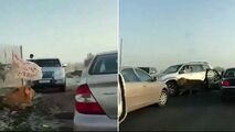 وحشت رانندگان از پرسه شیر سرگردان در جاده!+فیلم