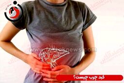 ویدیو/ شایع ترین علت درد کبد را بشناسید