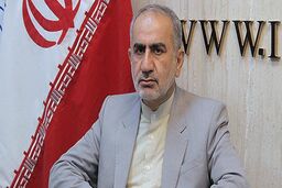  اگر امکان جایگزینی نهاده‌های دامی در داخل وجود دارد باید سریعا اقدام کرد