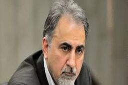 نخستین مصاحبه شهردار سابق پس از قتل همسر دومش