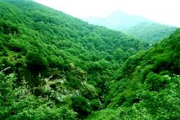 رویایی‌ترین صحنه از طبیعت