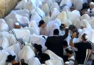 حرکات عجیب یهودیان در مراسم مذهبی کنار دیوار ندبه