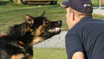 حمله سگ پلیس آمریکا به مظنون مشاجره خانوادگی