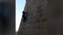 صعود با دست خالیِ مرد میمون نما به بالای قلعه! 