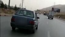 حمل گوساله با پراید!