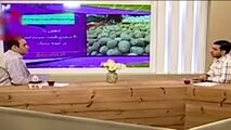 عذرخواهی مجری تلویزیون از خواندن اخبار امیدوارکننده قیمت سیب‌زمینی