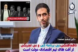از تیم اقتصادی دولت همه راضی هستند به جز مردم/ ناهماهنگی، بی برنامه‌گی و بی‌تجربگی آفت دولت است!