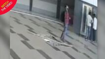 لحظه سقوط مرد جوان مقابل آسانسور فروشگاه!