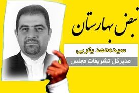 کارت زرد به مدیرکل تشریفات مجلس/ نمایندگان تافته جدا بافته نیستند 