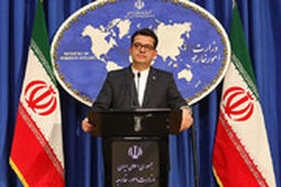سخنگوی وزارت خارجه: گاندو با واقعیت انطباق ندارد، خوب شد آقای ظریف نمی‌بینند!