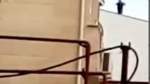 ویدئویی جدید از لحظه دستگیری شرور مسلح در گیلان 