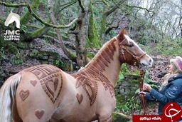 مهارت زن انگلیسی در آرایش حیوانات