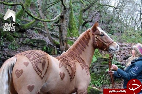 مهارت زن انگلیسی در آرایش حیوانات