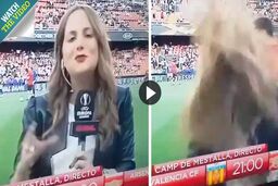 اتفاقی غیرمنتظره برای خبرنگار زن در استادیوم فوتبال!