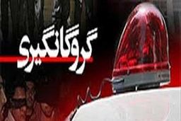 نجات دختر ۸ ساله از دام گروگانگیران