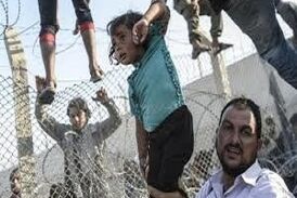 حقایقی تکان دهنده در مورد سرنوشت مهاجرت آمریکا 