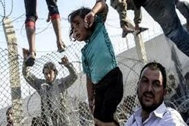 حقایقی تکان دهنده در مورد سرنوشت مهاجرت آمریکا 