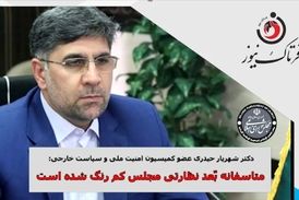تیم اقتصادی دولت بسیار ضعیف عمل میکند/ متاسفانه مجلس از بٌعد نظارتی خود فاصله گرفته است!
