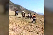  فیلمی از حمله خرس وحشی به اهالی روستایی در گلستان