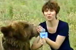  لحظه وحشتناک حمله ناگهانی خرس به خبرنگار زن