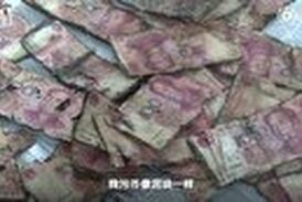 تصمیم اشتباهی که تمام پس انداز مرد چینی را بر باد داد! 