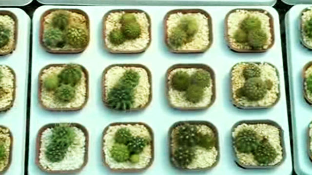 روشی جالب برای جلوگیری از خروج 15 میلیون یورو ارز از کشور!