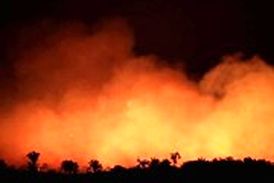 چه کسی آمازون را آتش زده است؟