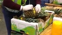  کشف مواد مخدر جاسازی شده در آناناس+فیلم