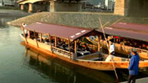 ماهی‌گیری شبانه با پرندگان، سنت عجیب ژاپنی‌ها!