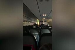 وجود یک خفاش در هواپیما، مسافران را وحشت‌زده کرد