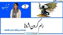 انگیزه های انسان برای موفقیت؛ رام کردن اژدها 