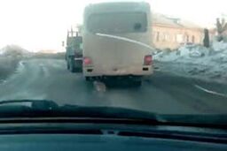 ابتکار راننده مینی بوس در جایگزینی تنه درخت به جای لاستیک