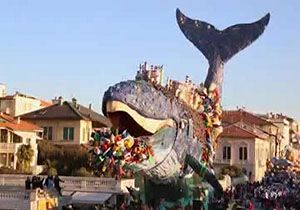 راه اندازی کارناوالی در حمایت از وال‌ها