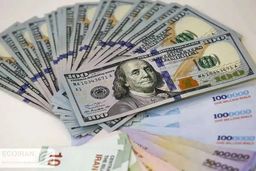 همفکری دولت و مجلس برای ثبات بازار ارز