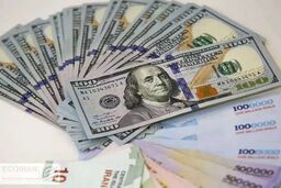 همفکری دولت و مجلس برای ثبات بازار ارز