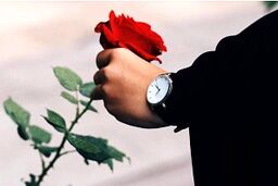 
صحبت های جالب والدین در مورد دخترشان در روز دختر + فیلم