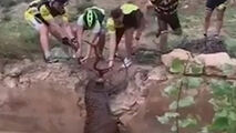 نجات گوزن بزرگ توسط چند دوچرخه سوار
