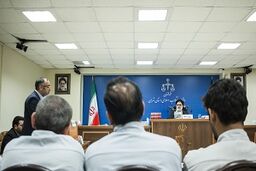 همه چیز درباره سلطان سکه!
