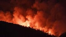 فیلم/ آتش سوزی گشترده در کارگاه شارژ سیلندرهای گاز 