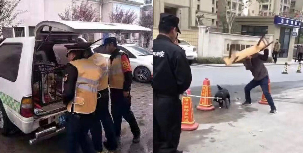 رفتار وحشیانه ماموران چین با یک حیوان!