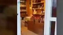 دیدن این فروشگاه عجیب را از دست ندهید
