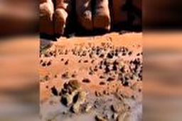 ساحلی بسیار زیبا و دیدنی در بندر لنگه 