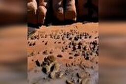 ساحلی بسیار زیبا و دیدنی در بندر لنگه 