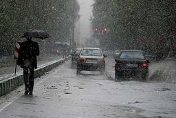 بارندگی در گرمای خرماپزان بم
