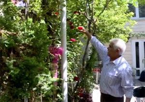 مردی که پس از ۴۰ سال تلاش، حیاط خانه‌اش را به بهشت تبدیل کرده است