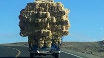 بار کامیون بر روی نیسان!