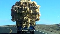 بار کامیون بر روی نیسان!