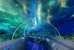 ساخت تونل شناور زیر دریا برای عبور و مرور خودروها!