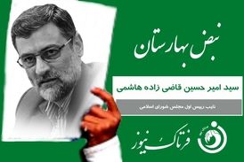 کارت سبز «نبض بهارستان» به سید امیرحسین قاضی زاده هاشمی